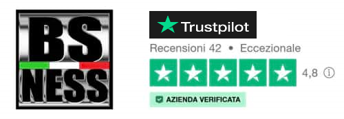 recensioni bsness trustpilot